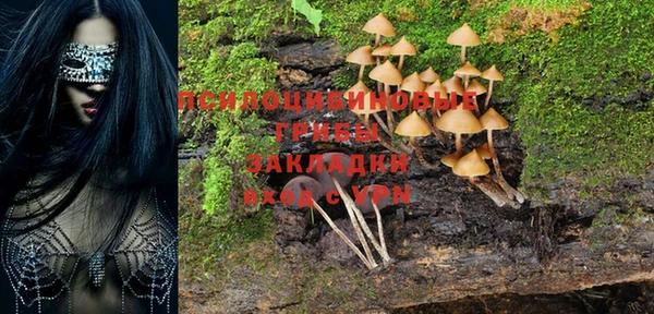 метамфетамин Верея
