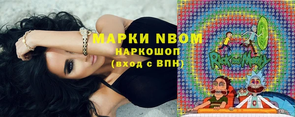 ешки Бородино
